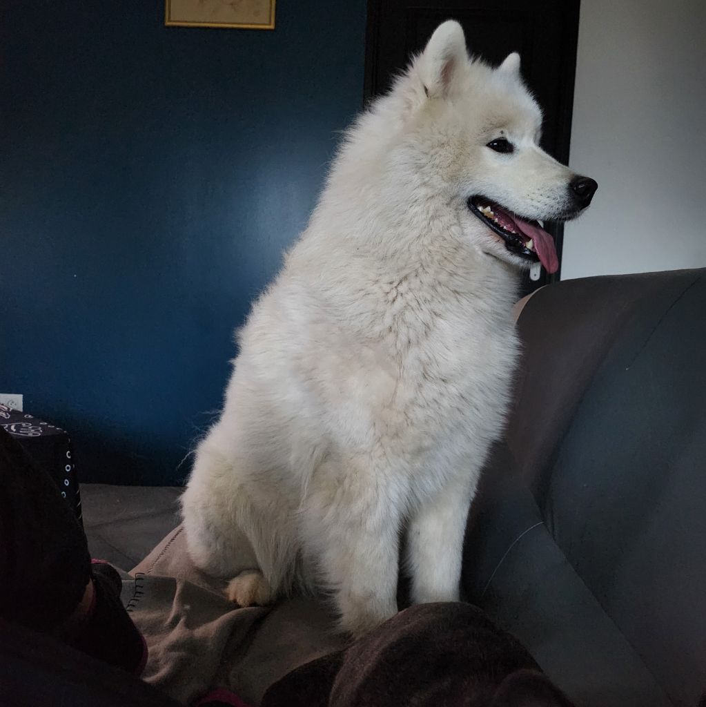 Schka (Sans Affixe)